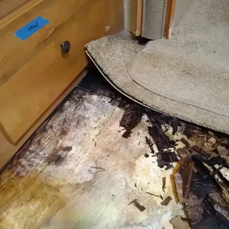 Wood Floor Water Damage in Aberdeen, SD